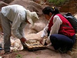 植物都是被誰發(fā)現(xiàn)的？