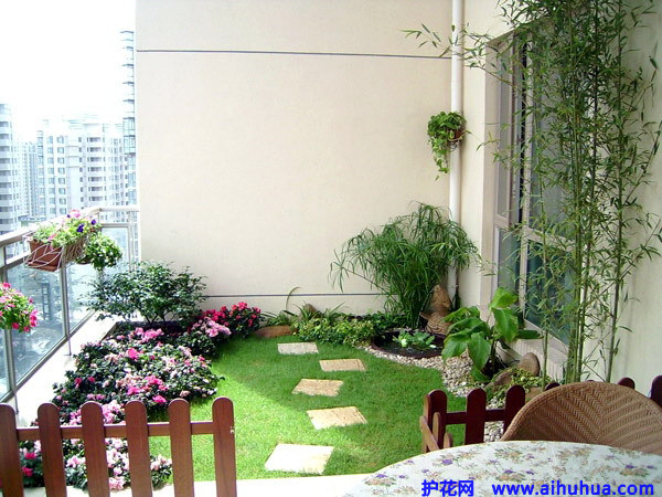 除甲醛，竹炭綠植給力否？